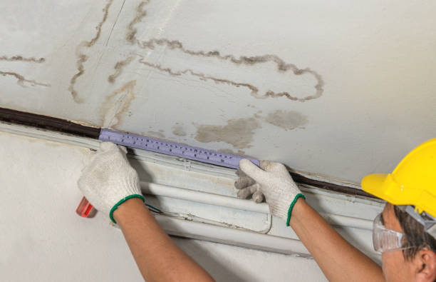 Reliable Burst Pipe Cleanup contractor in Whitesburg, TN by Water Damage Irwin